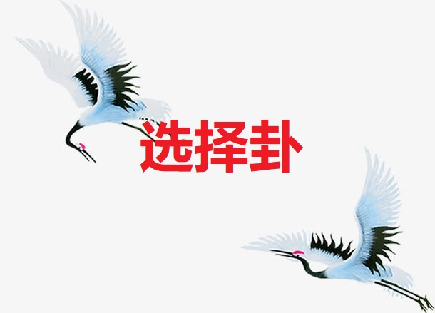 <b>选择卦</b>